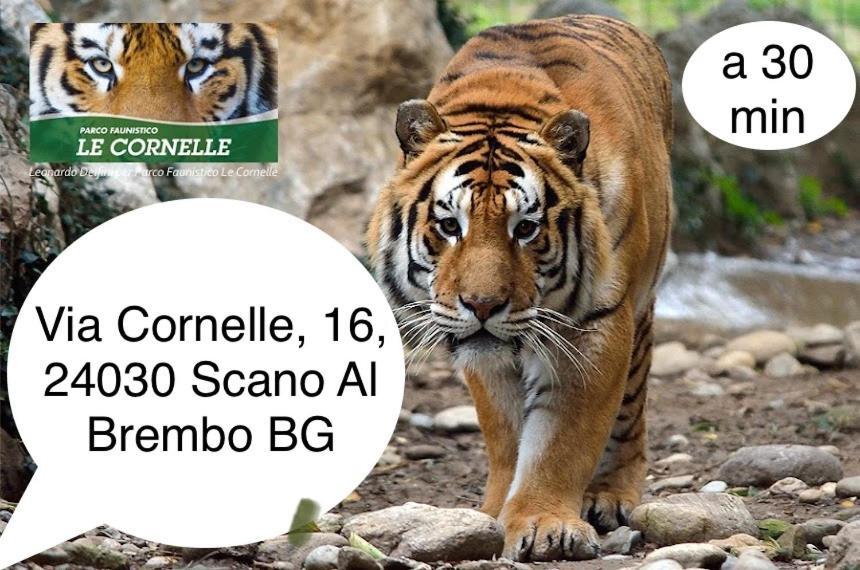 Villa 2 Cassano D'adda Ngoại thất bức ảnh